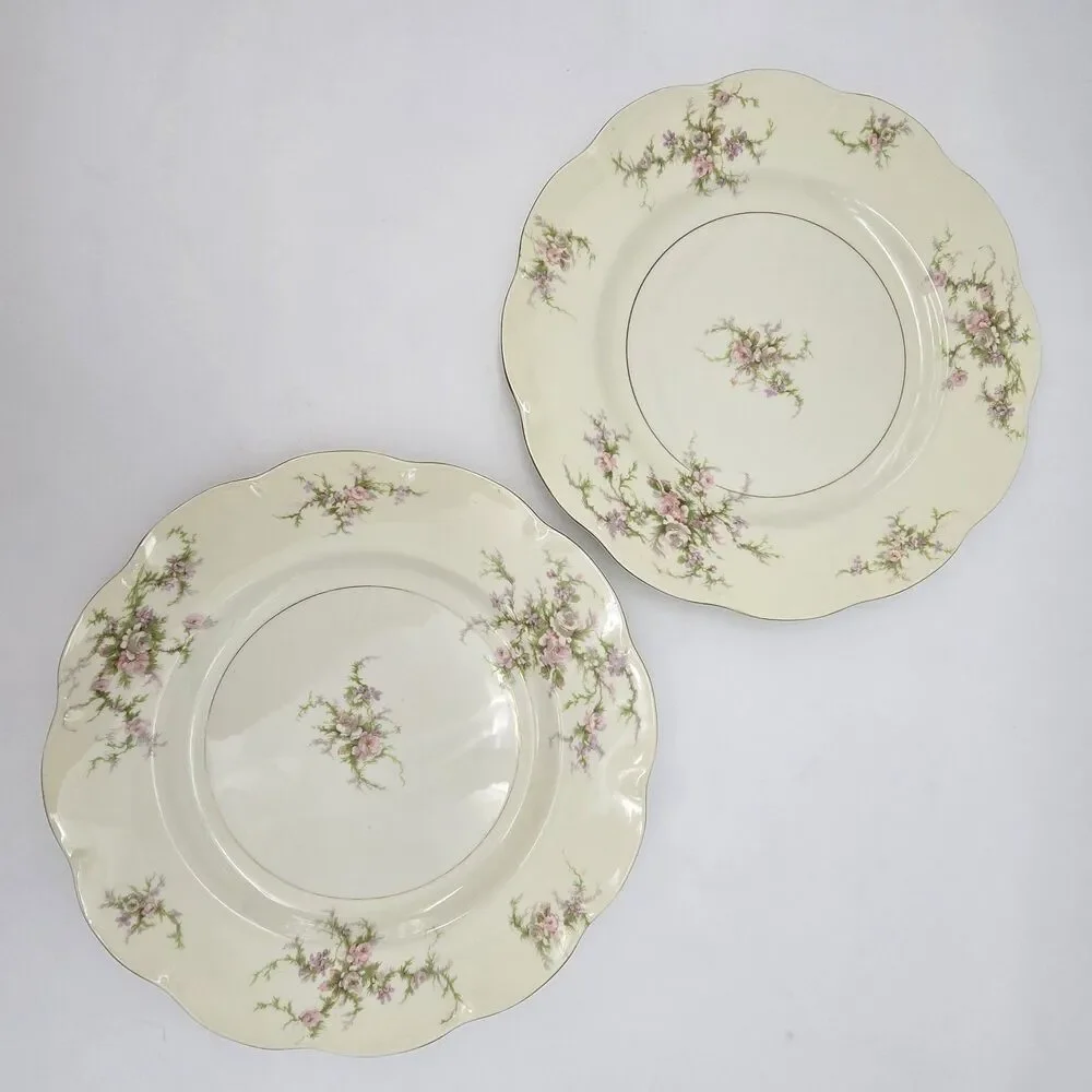 Haviland theodore new